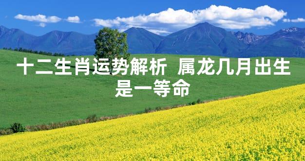 十二生肖运势解析  属龙几月出生是一等命